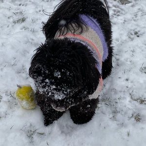 Meet your Posher, Avinash